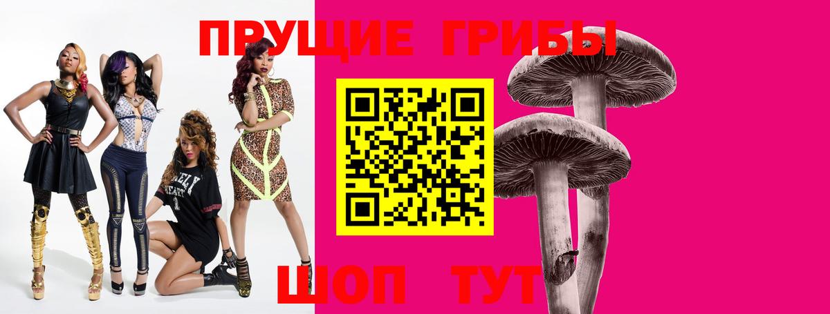 Гусь-Хрустальный  Псилоцибиновые грибы MAGIC MUSHROOMS  Вход с VPN 